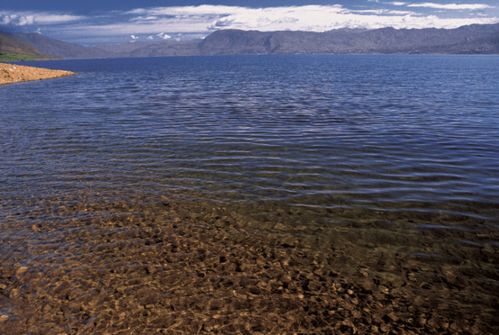 堅持保護與開發并重 程海湖上的生物多樣性保護企業實踐