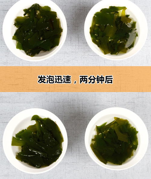 大連特產天然裙帶菜干貨特級螺旋藻免洗海藻海木耳海白菜500g包郵