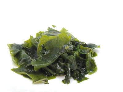 聰明菜、美容菜、健康菜、綠色海參裙帶菜,被日本稱為天然螺旋藻